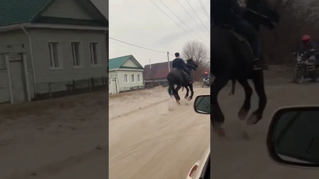 512c0a3285534b1d8616dd739cafb96c