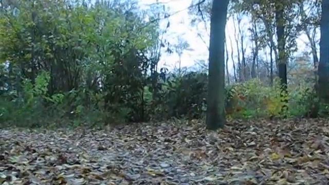 Vancoke Semenov Разговор с Т П Новиковым