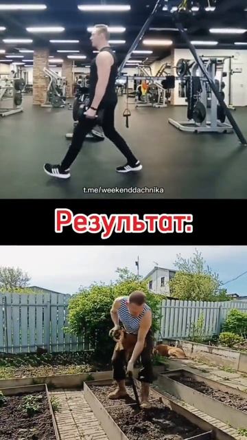 Агрофитнес
