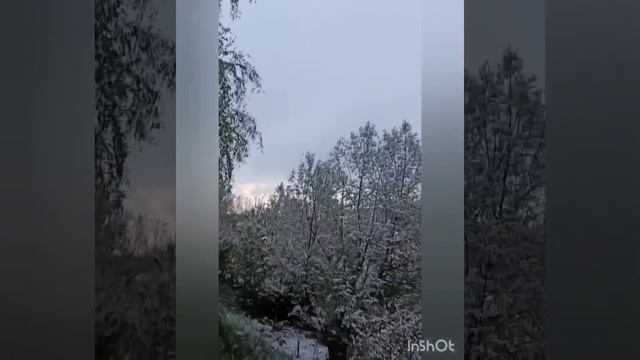 8 мая 2024 порадовало снежком