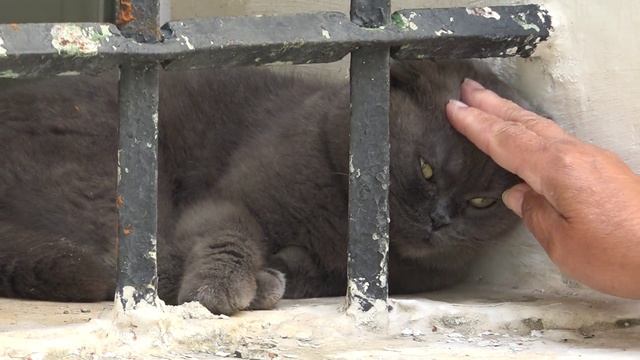 Вологда-Тихвин-Питер