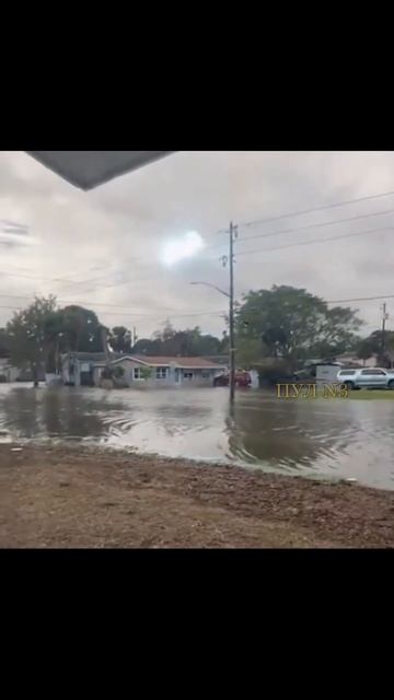 Шаровая молния бежит по проводам Флориды #shorts