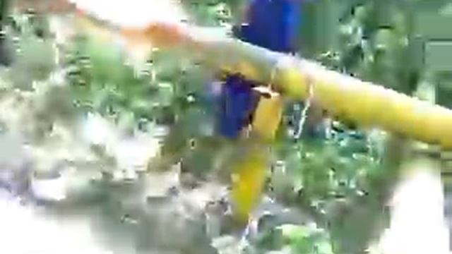 СВАРЩИКИ НА ПРИРОДЕ