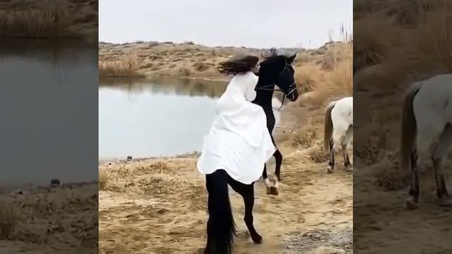 лошадь или девушка