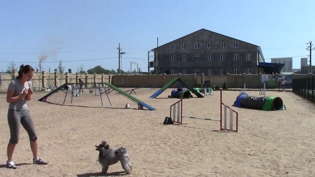 А1 Буглова Елена и Ассоль