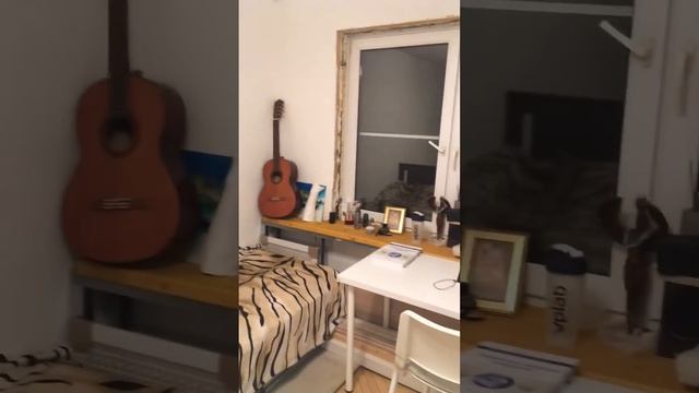 Обзор квартиры