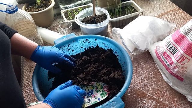 26 февраля Грунт Двина