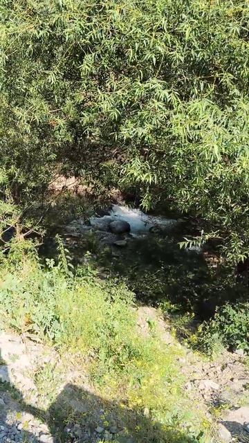 Symphony Of Stones In Armenia #СимфонияКамней #гарни #армения #armenia #ՔարերիսիմֆոնիանՀայաստանում