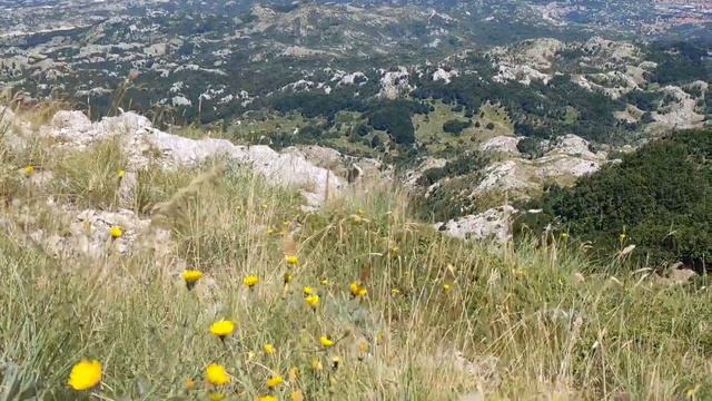 7862319663fe9a70fee1e22eb59b689b