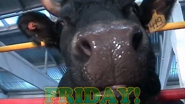 A356e2cea16cd51fcd36f6590382b7e8