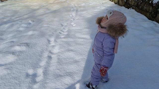 Жизнь в Германии. Поем песню 