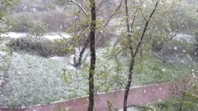 Снег в Москве 7 мая 2014