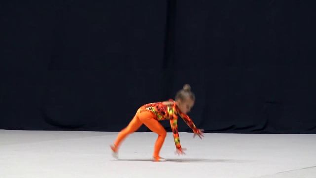 Коротаєва Катерина 2017