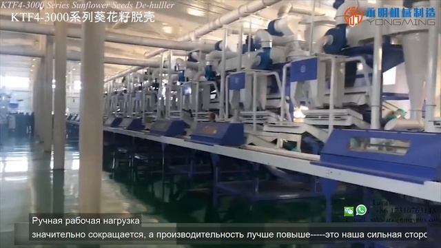 Лущение семян подсолнечника серии KTF4 3000