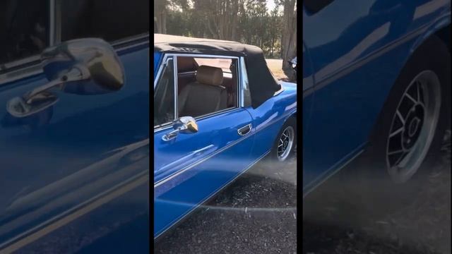 86c1da990505996bd517ddfa31834905