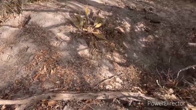 Таджикистан. Гора Чилдухтарон и соленой гора Ходжамумин