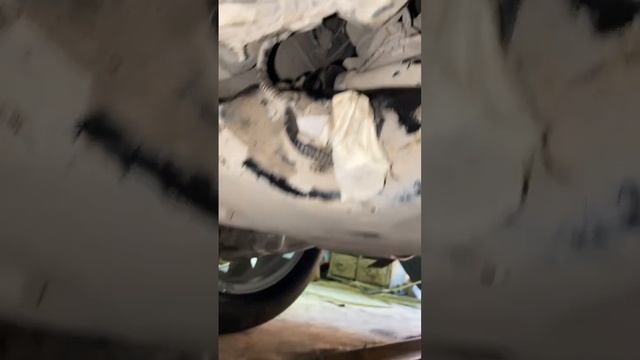 Eco-Friendly Efforts