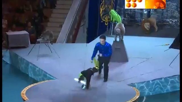 Легендарный цирк на воде