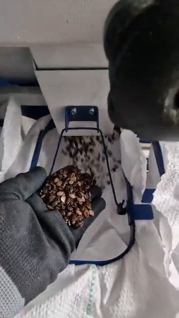 509d40972a5eb22ea2157b7afa91d716