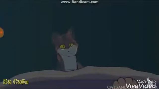 Коты-Воители: Кленовница (Дочь Зла)