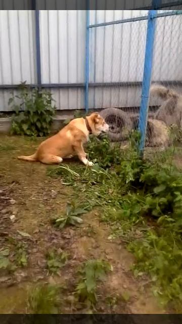 8b10b1e480b906a1ef7a7762feeb6cdf