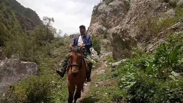 УЧТОБО 🌲🌷Жайлоодо.6.07.2022ж.#жайлоо #суу #арча #гулдор....