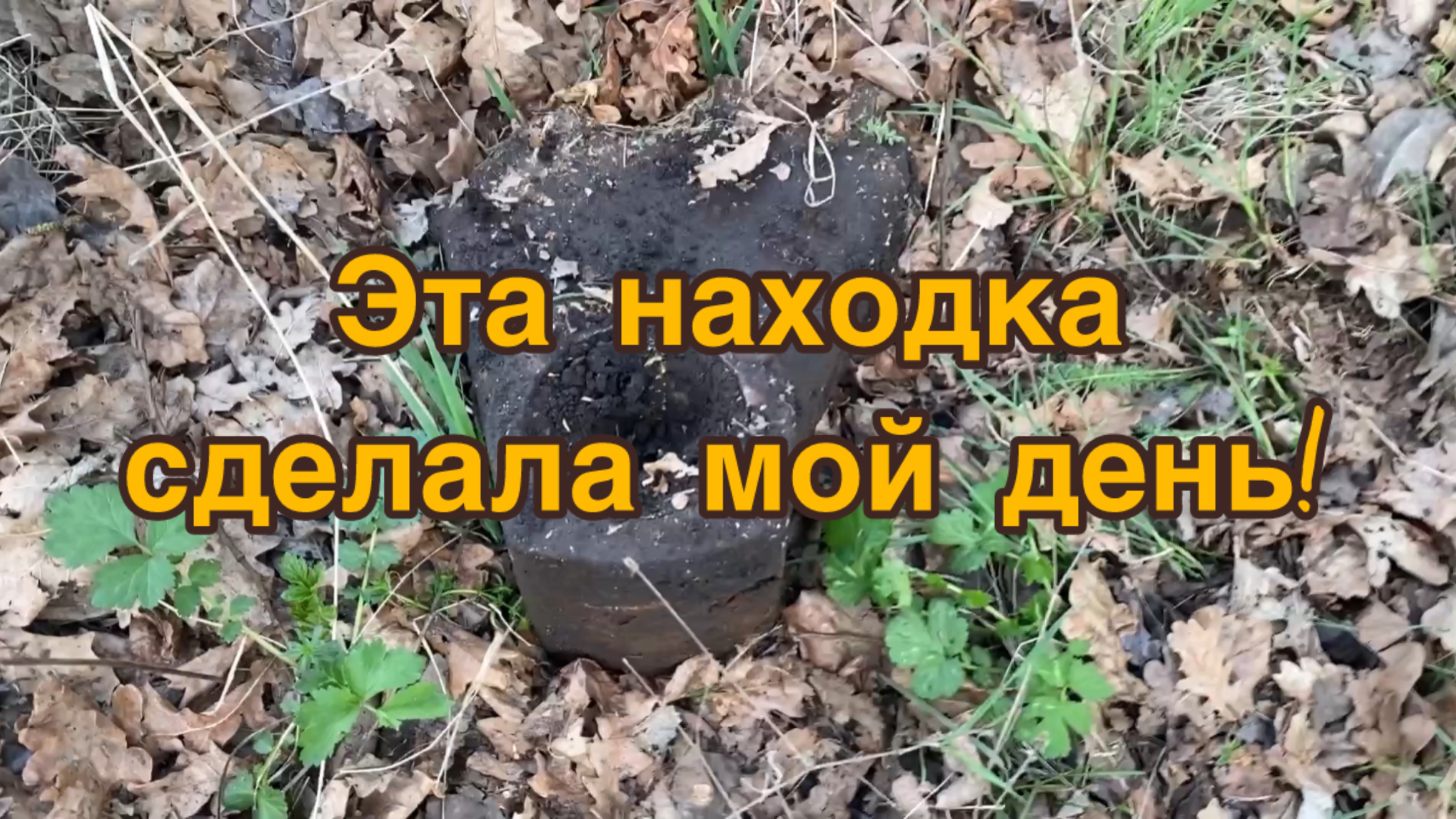 Эта находка сделала мой день!