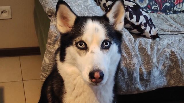 унылый влог :(