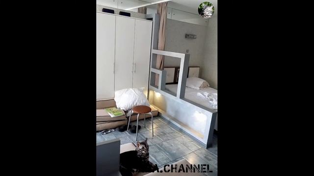 КАК ТЕЛЕПОРТИРОВАТЬ КОТА??