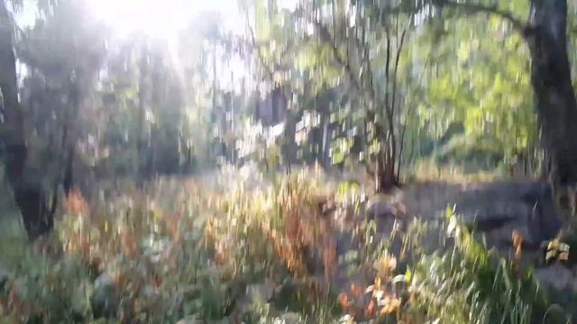 Россыпи (обратный путь)