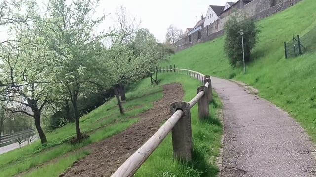 Бровченко.  Обзор влогов. 14 07 2024 Бровченко