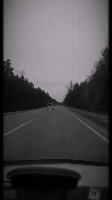 Petal_20250507_204541.mp4