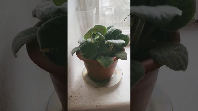 15 февраля 2024 г.