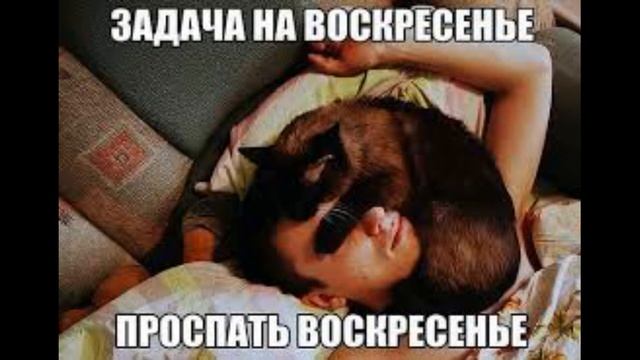Смешные мемы про воскресенье