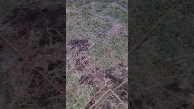 Начинаем строительство двухэтажного дома