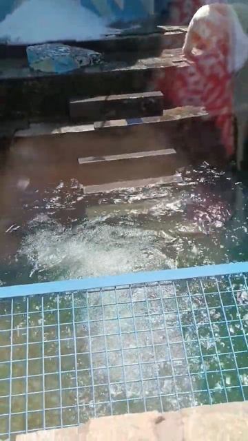 зоопарк в Новосибирске   #зоопарк #новосибирск #новоси?