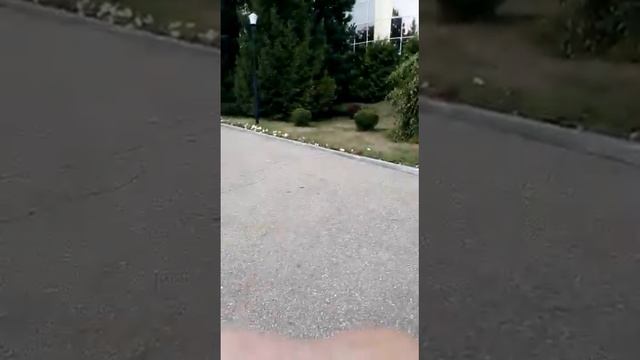 24 ноября 2022 г.