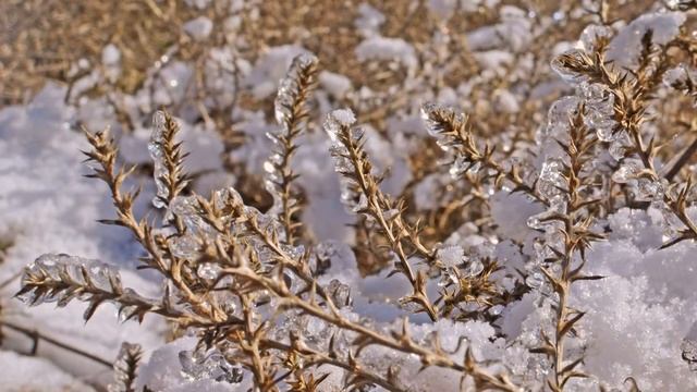 Зимняя прогулка по горе Горячая