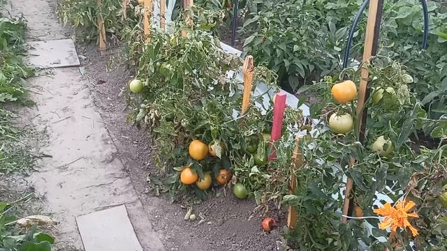 9273b165c850cdbb844c90cfae0e3e8e