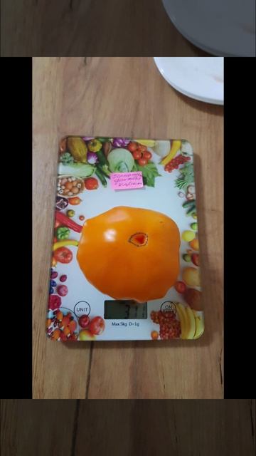 33f46e986b7f1155cda5e465e99249f8