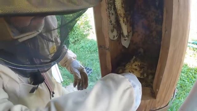 Колода: Гибель или жизнь? Часть 3.