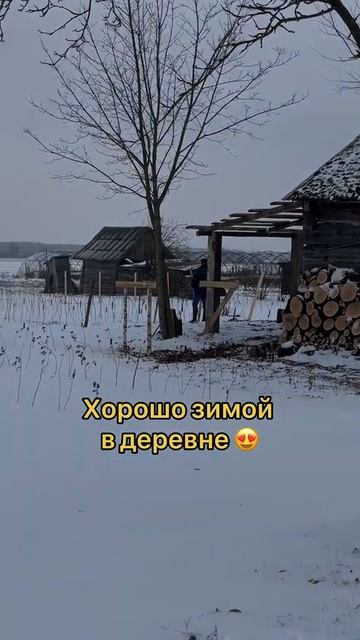 #клубника #малина #теплица #беларусь