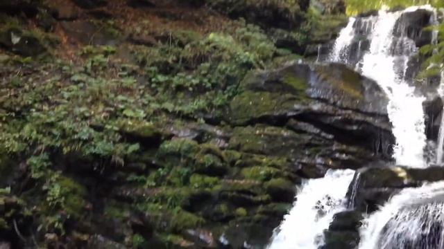 Водопад Шипот. Карпатская осень.