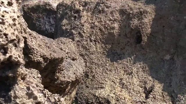 18.08.2022 Место второго купания и отдыха