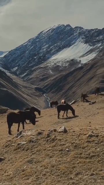 Лезгистан с. КУРУШ. Lezgistan S.  KURUSH