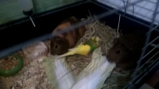 8d33b213091da246bfdaf09a335a643a