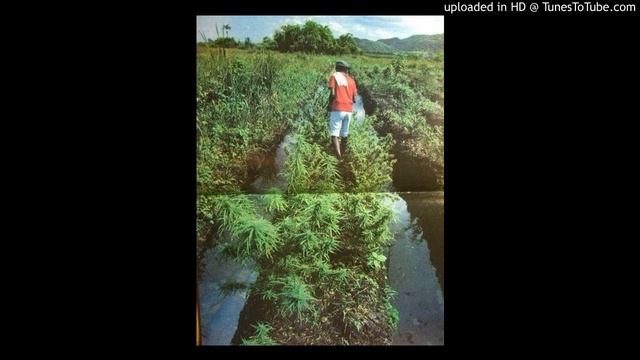 Рыночные Отношения - Скажи Мне Сплиф