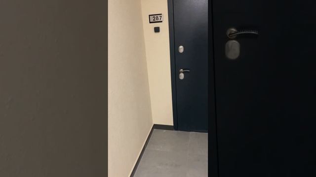 13 марта 2024 г.