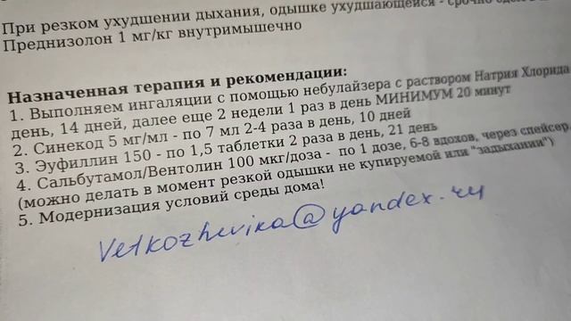 Назначения пульмонолога/  Подробно о диагнозах и лечении Чарли