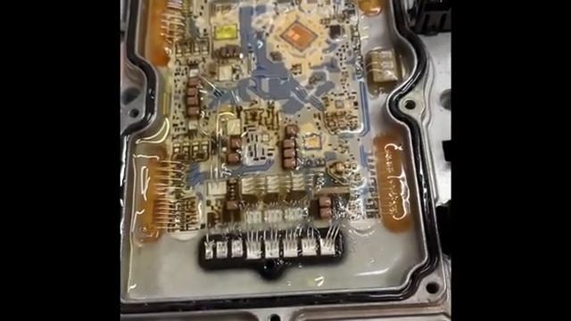 Homegrown Creativity